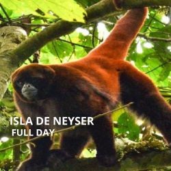 FULL DAY ISLA DE NEYSER