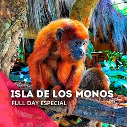 FULL DAY ISLA DE LOS MONOS